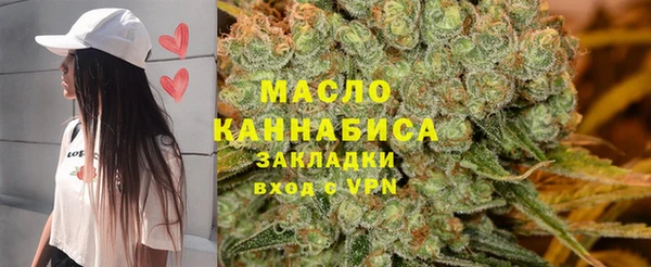 мдпв Туринск