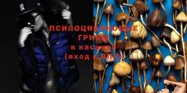 соль курить ск Сураж